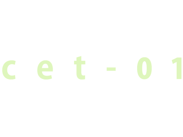 www.cet-01.com