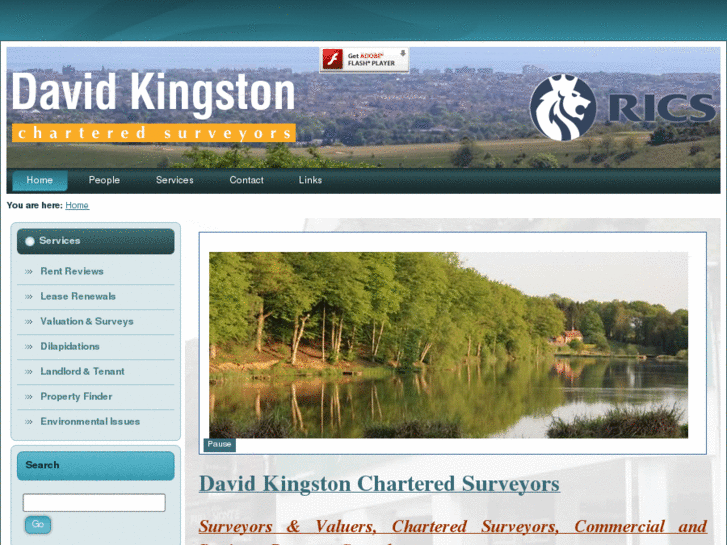 www.davidkingston.com