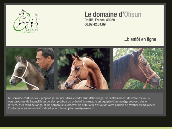 www.olisun-arabians.com