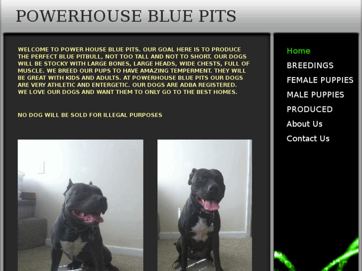 www.powerhousebluepits.com