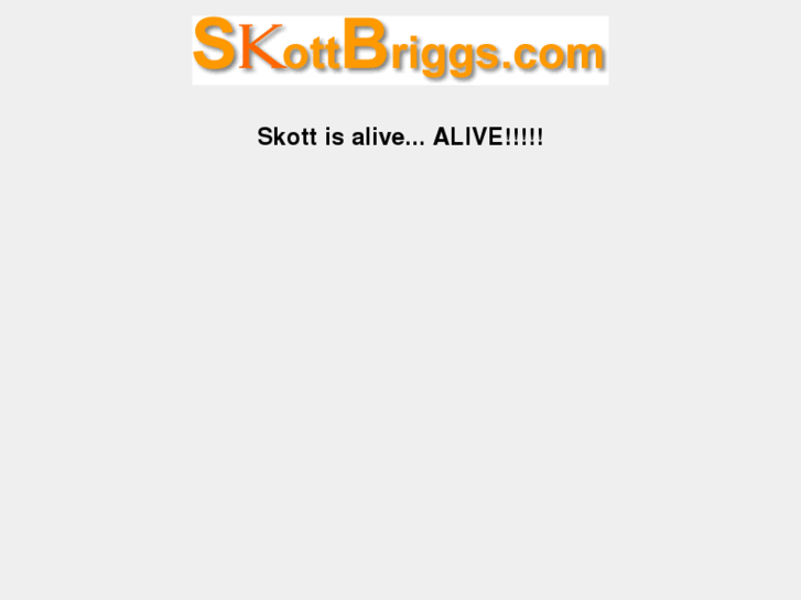 www.skottbriggs.com