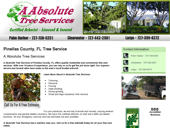 www.treeservicepalmharbor.com