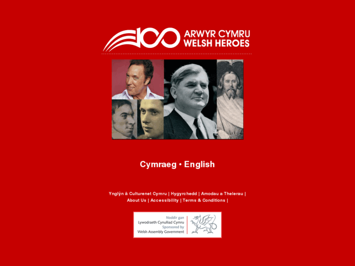 www.100arwyrcymru.com