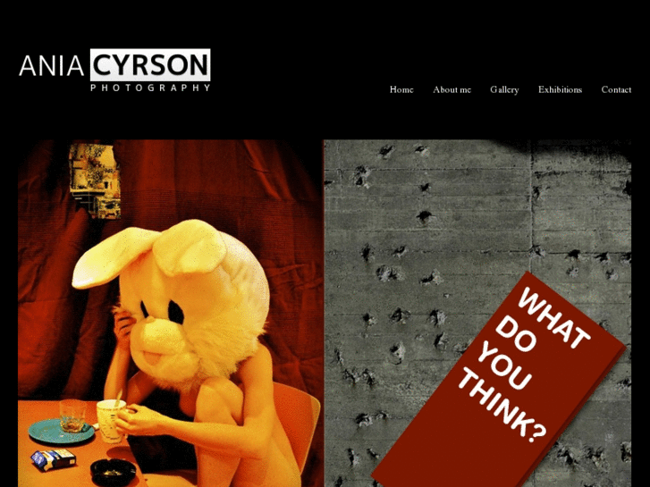 www.aniacyrson.com