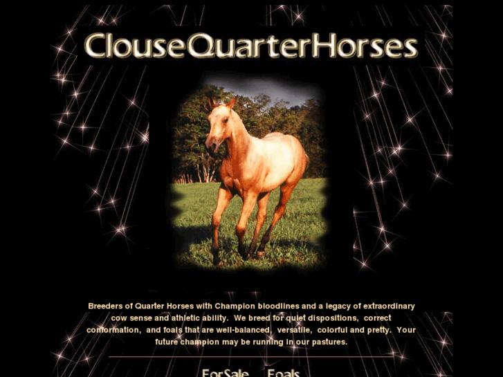 www.clousequarterhorses.com