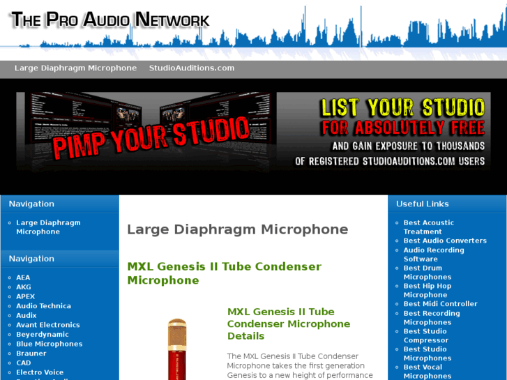 www.largediaphragmmicrophone.com