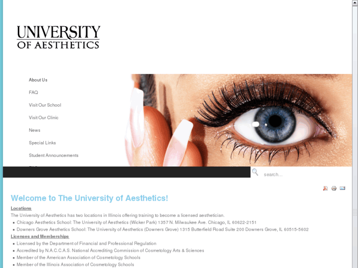 www.theuniversityofaesthetics.com