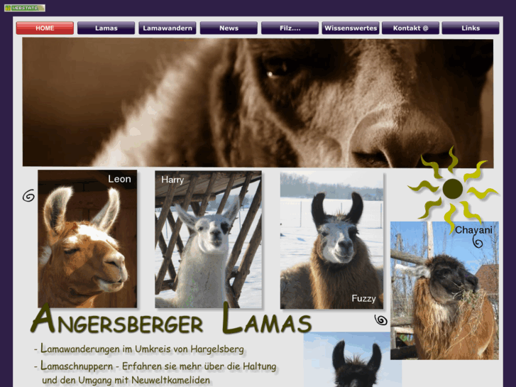 www.angersberger-lamas.com