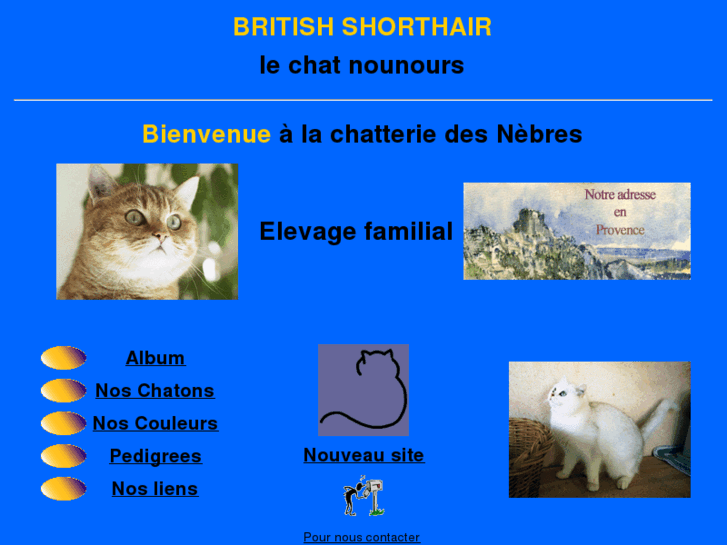 www.chat-british.com