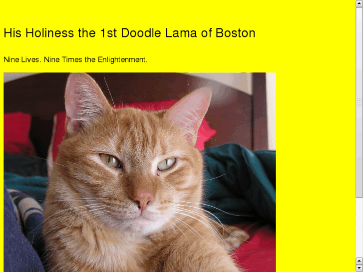 www.doodlelama.com