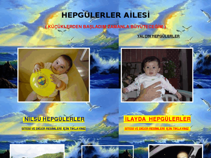 www.hepgulerler.com