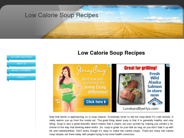 www.lowcaloriesouprecipes.com