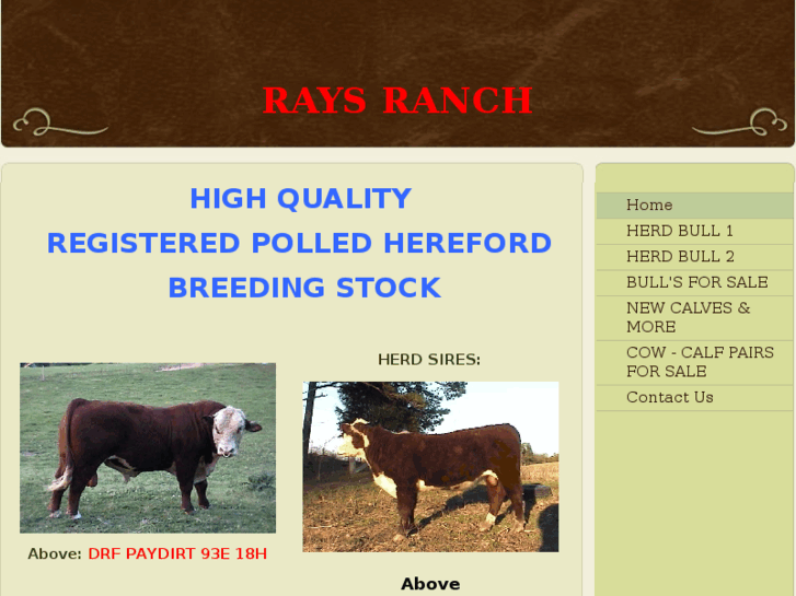 www.raysranch.net