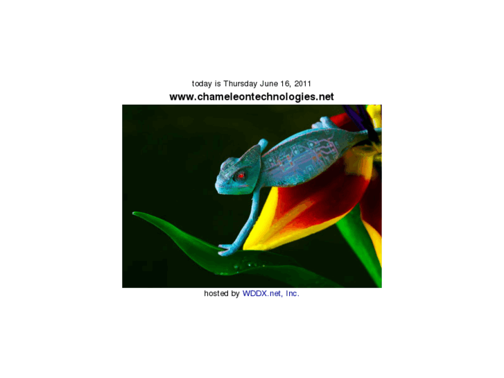www.chameleontechnologies.net
