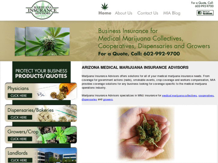 www.marijuanainsuranceadvisors.com