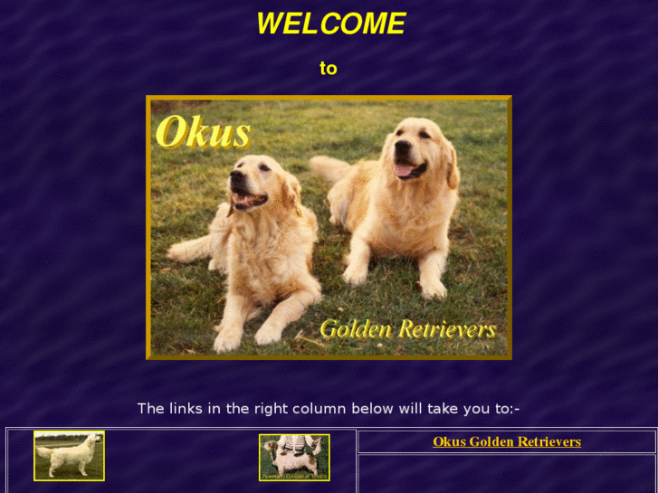 www.okusgoldens.com