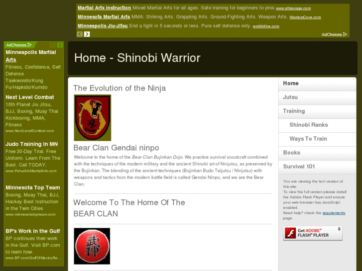 www.shinobiwarrior.com