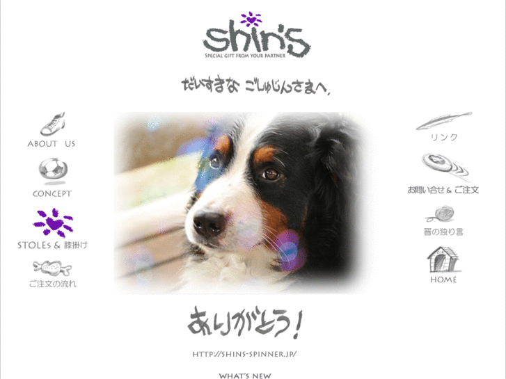 www.shins-spinner.jp