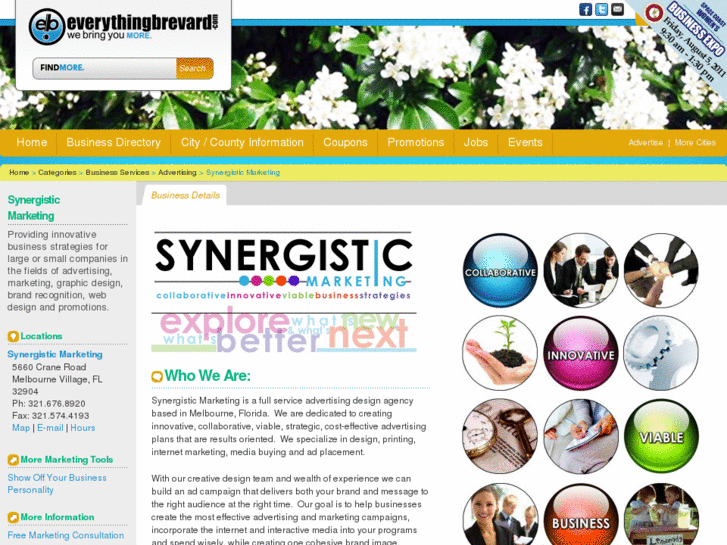 www.synergisticmarketingexperts.com