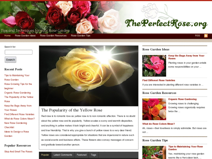 www.theperfectrose.org