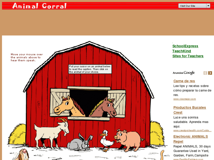 www.animalcorral.com