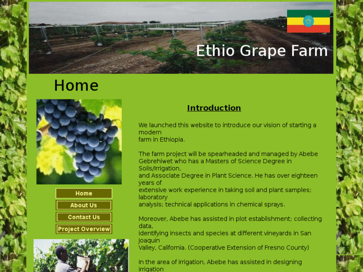 www.ethiograpefarm.com