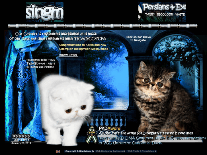 www.risingmoon-persians.com