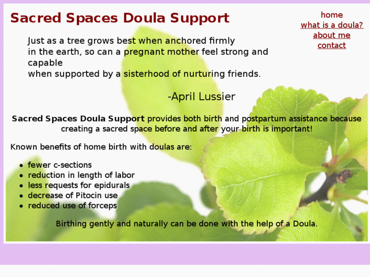 www.sacredspacesdoulasupport.com