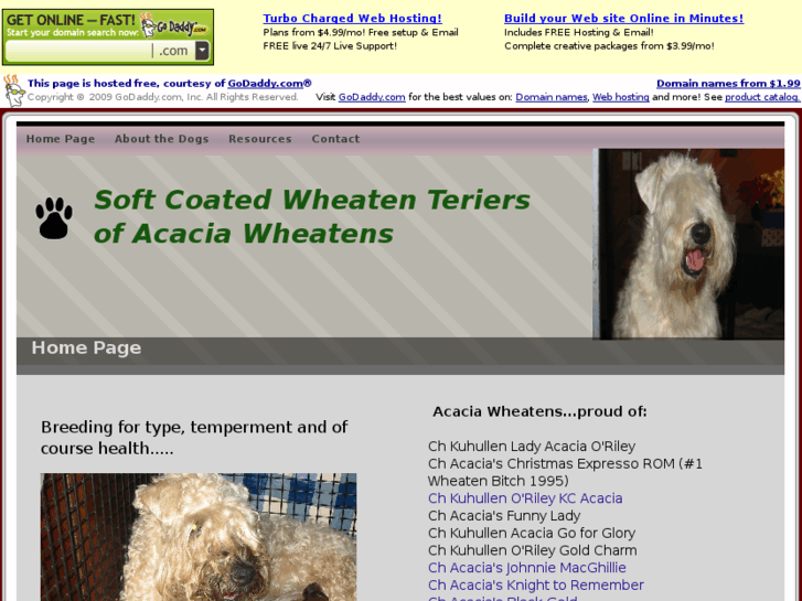 www.acaciawheaten.com