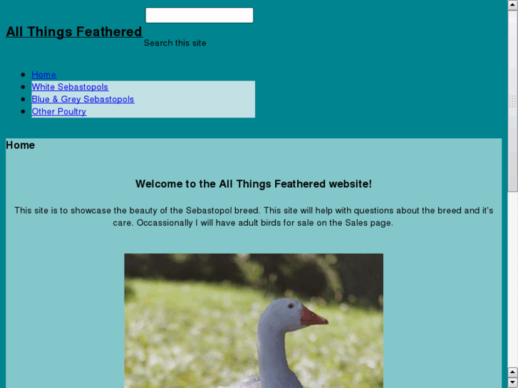 www.allthingsfeathered.com