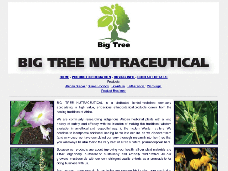 www.bigtreehealth.com