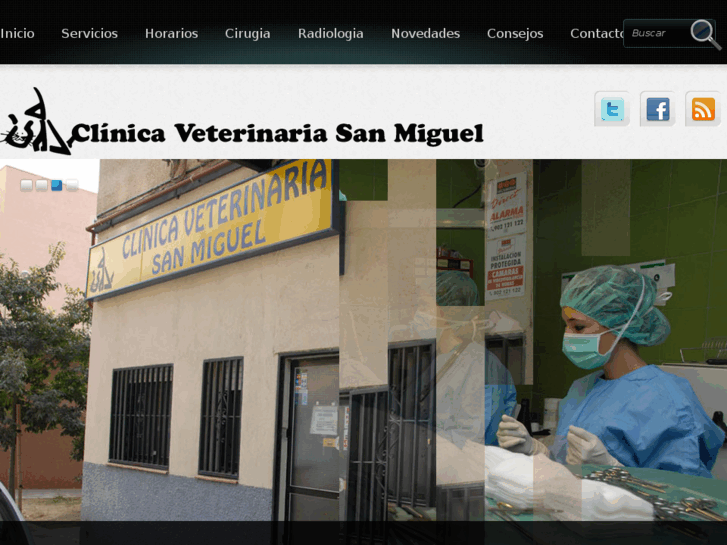 www.clinicaveterinariasanmiguel.es