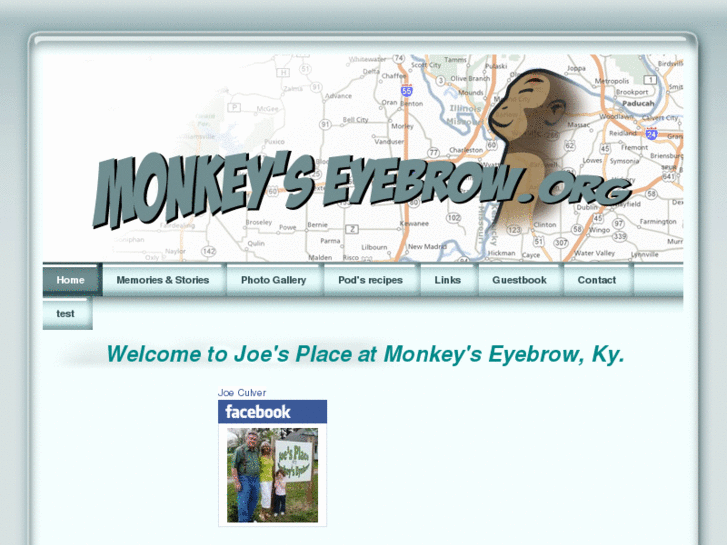 www.monkeyseyebrow.biz