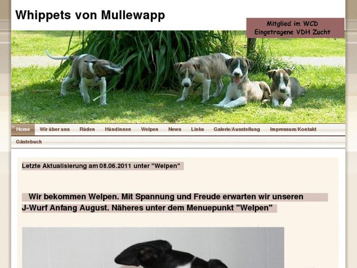 www.whippetsvonmullewapp.de