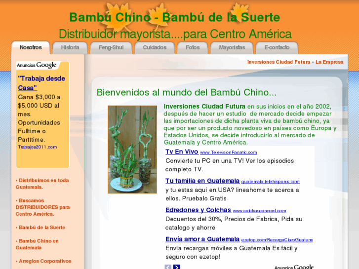 www.bambuchino.com