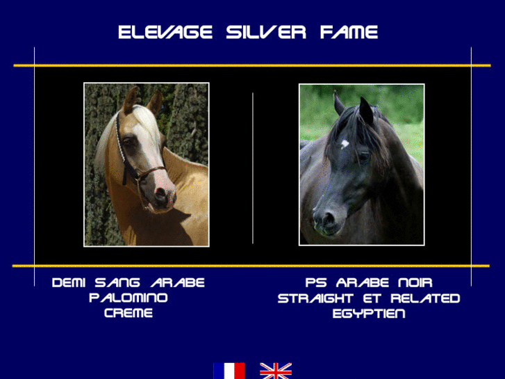 www.elevage-silverfame.com