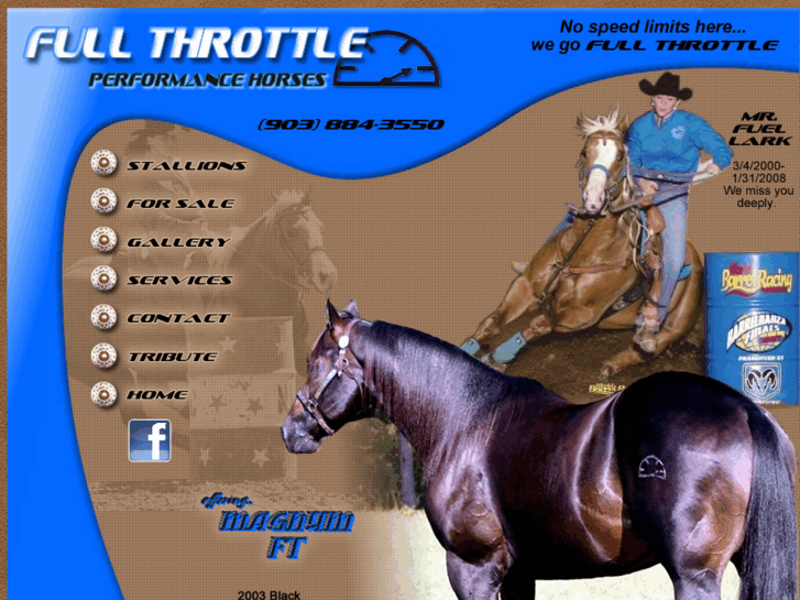 www.fullthrottleperformancehorses.com