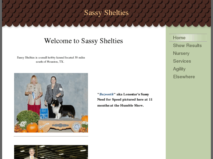 www.sassyshelties.com