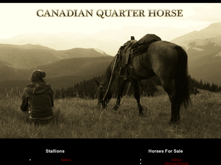 www.canadianquarterhorse.com