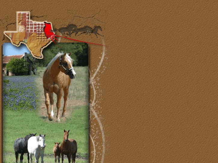 www.easttexashorses.com