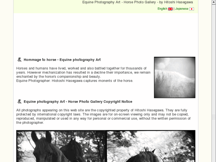 www.equinephotography.info