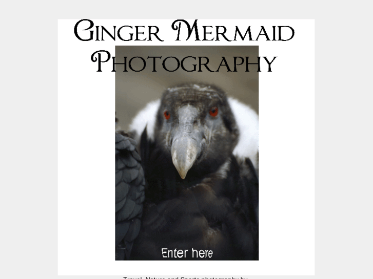 www.gingermermaid.com