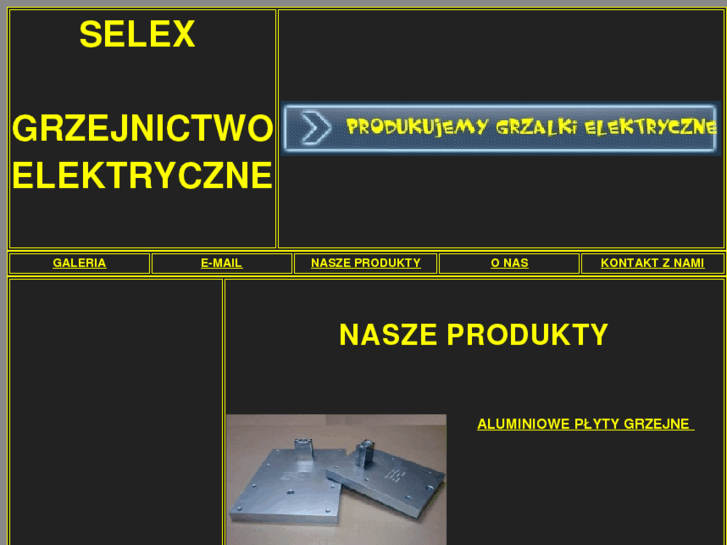 www.selex.org.pl