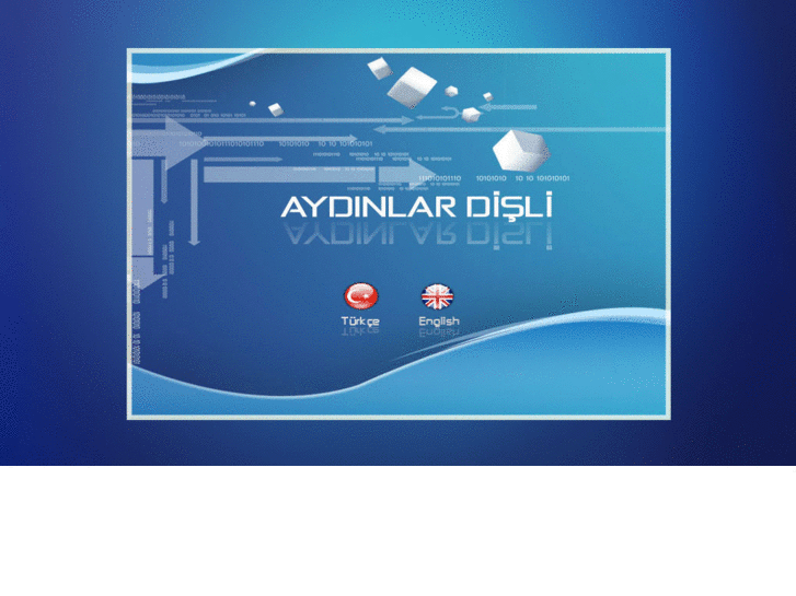 www.aydinlardisli.com