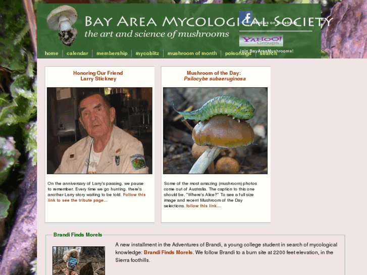 www.bayareamushrooms.org