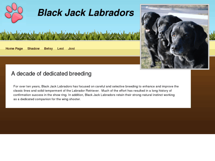 www.blackjacklabs.com