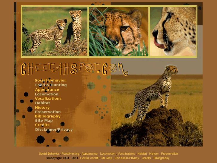 www.cheetahspot.com
