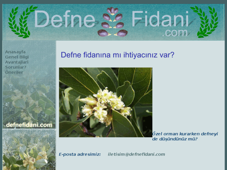 www.defnefidani.com