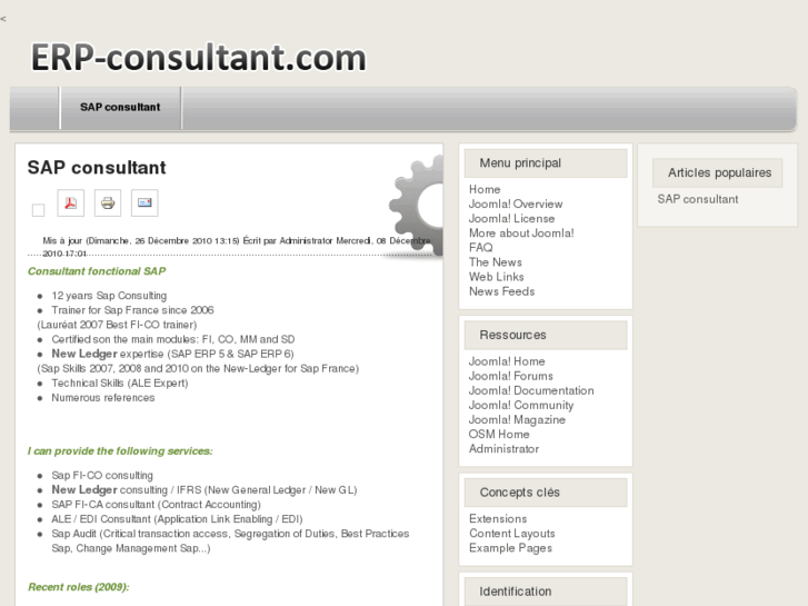 www.erp-consultant.com