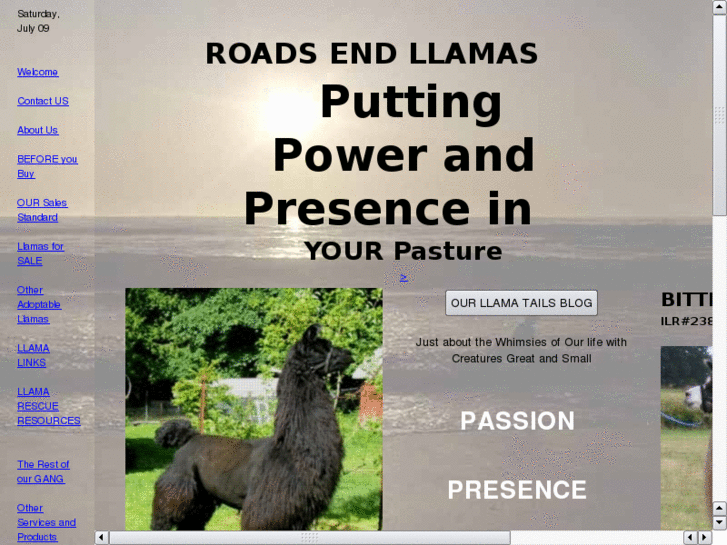 www.roadsendllamas.com